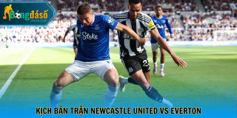 Kịch bản trận Newcastle United vs Everton