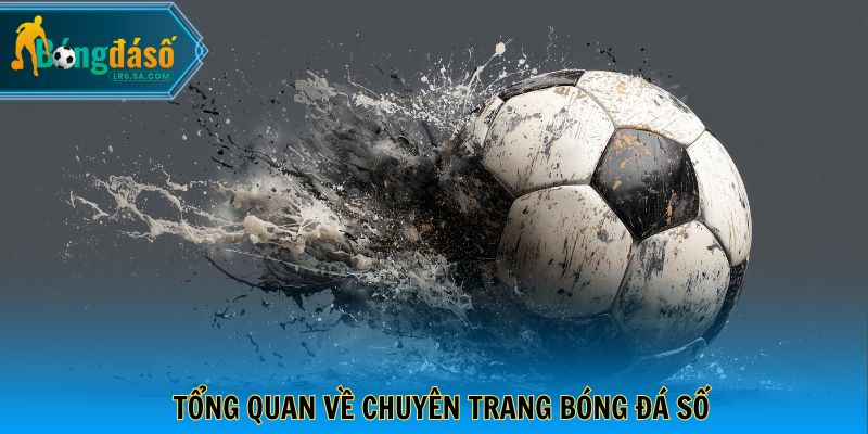 Tổng quan về chuyên trang bóng đá số