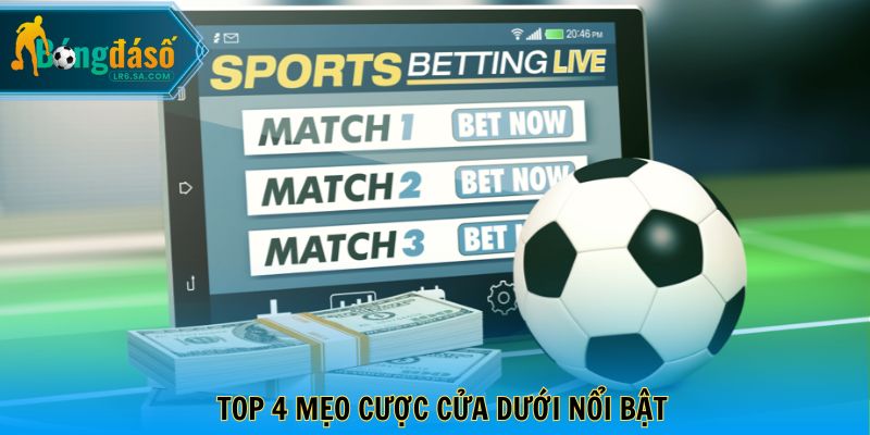 Top 4 mẹo cược cửa dưới nổi bật